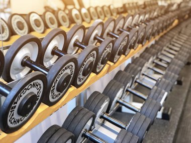 Halter Technogym marka satırında bulunan yerel spor kulübü. Saint-Petersburg, Rusya. 29 Ekim 2018