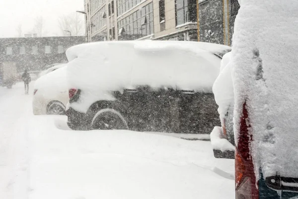 Neige Vaches Couvertes Voitures Dans Parking Scène Urbaine Tempête Neige — Photo