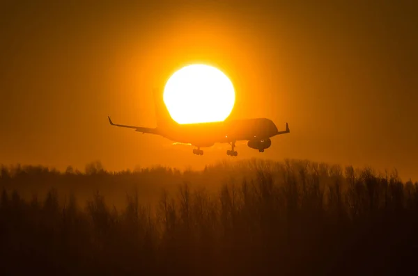 Airplane Flies Solar Disk Morning Landing — Stock Photo, Image