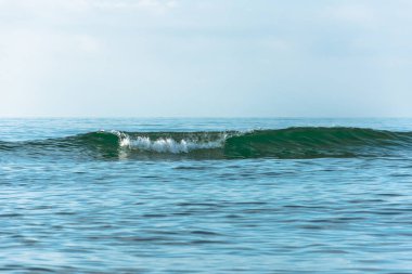 Küçük dalgalar deniz yeşil