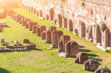 Harap sütunları antik Hipodrom Domitian Roma, İtalya.