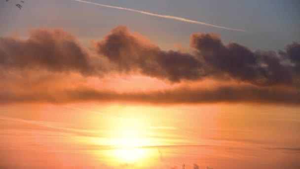 煙と夕日の雲の暗い雲 大気汚染 — ストック動画