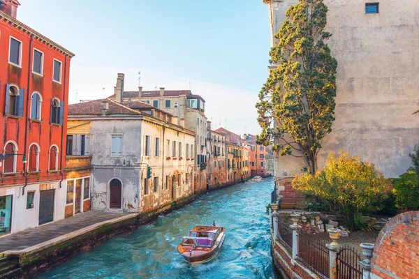 Canal Venecia Con Pequeño Jardín Árbol Cerca Casa Agua Pequeño — Foto de Stock