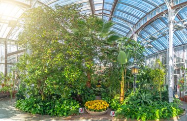 Çalılıkları ağaçların çiçek ile tropikal bir sera Panoraması.