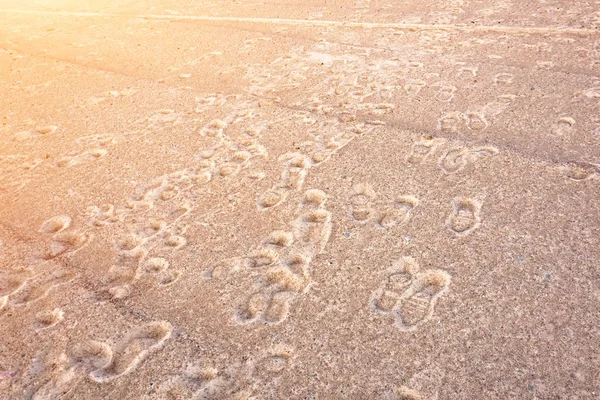 Wiele starych footprintów ludzi na grubej piasku. — Zdjęcie stockowe