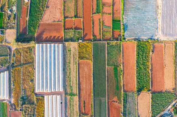 Luchtfoto van de verschillende velden van gewassen en kassen. Concept van agro-industrieel complex. — Stockfoto