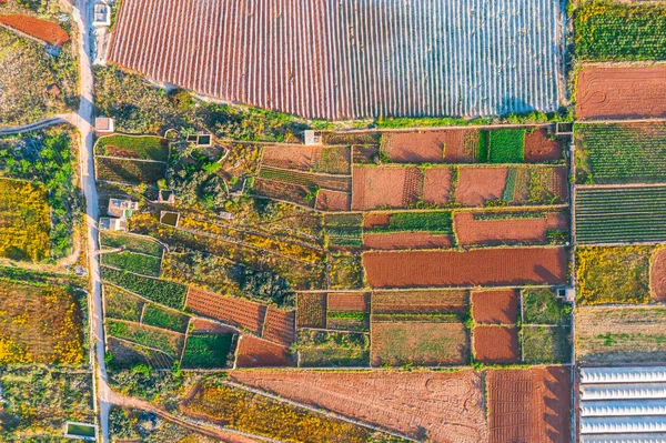 Вид с воздуха на различные поля сельскохозяйственных культур и теплицы. Концепция агропромышленного комплекса . — стоковое фото