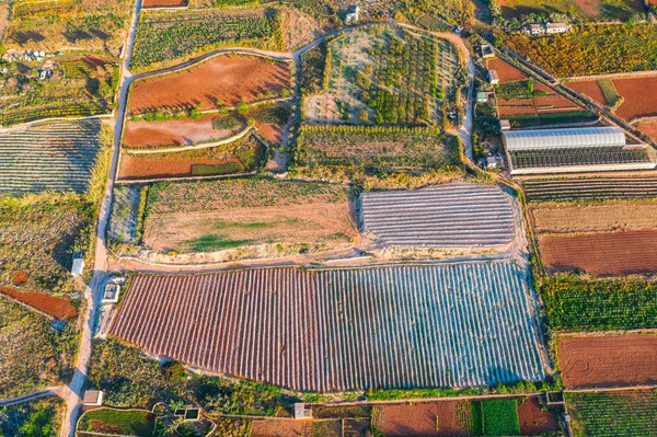 Aerial view of the various fields of crops and greenhouses. Concept of agro-industrial complex. — Stock Photo, Image
