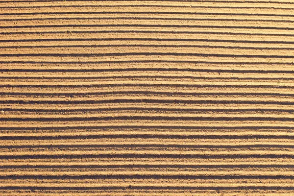 Top widok z lotu ptaka na gładkiej borozy świeżo obsadzone rośliny rolnicze w glebie — Zdjęcie stockowe