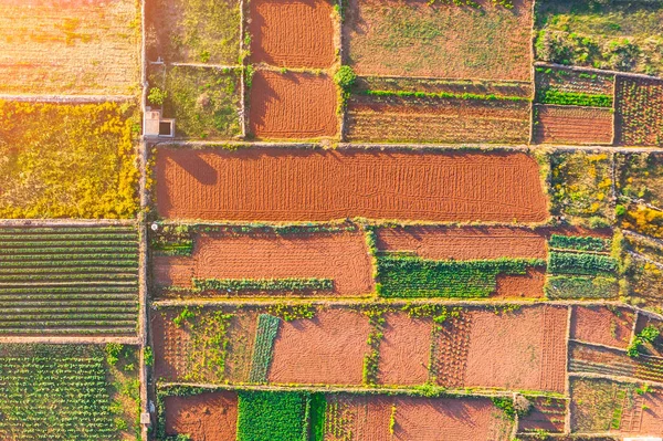 Vista aérea de formas geométricas de parcelas agrícolas de diferentes cultivos en colores verde, marrón, naranja . — Foto de Stock