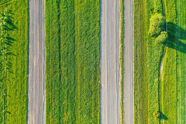 Plowing land furrows for planting agronomical plants among the countryside of grass and meadows trees, aerial view from above. — Stock Photo, Image