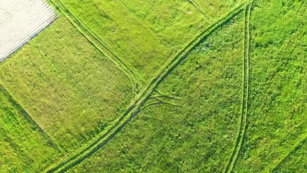 Landwegen Velden Met Groene Gras Weiden Het Platteland — Stockvideo