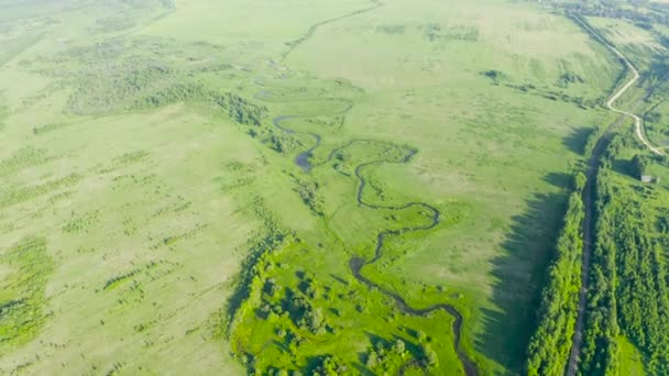 Повітряний Ландшафт Сільської Місцевості Звивистої Маленької Річки Струмок Зеленому Полі — стокове відео