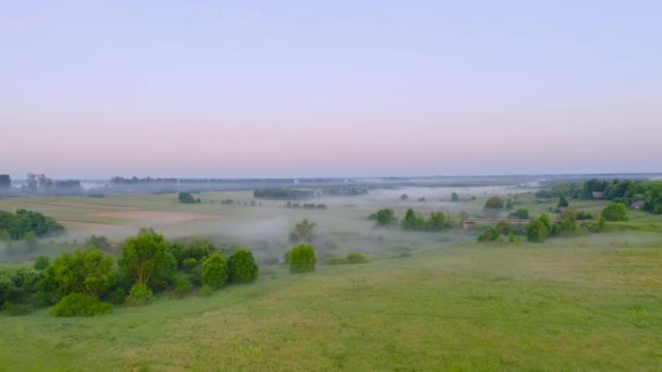 Beau brouillard sur une petite rivière parmi les prairies herbeuses des zones rurales, tôt le matin à l'aube .