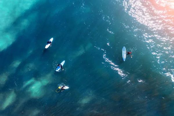 Büyük bir dalga beklentisiyle koyda su surfers, havadan üst görünümü.