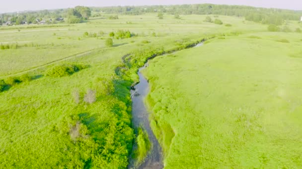 Flying Small River Stream Flowing Floodplain Green Meadows Rural Place — Stock Video