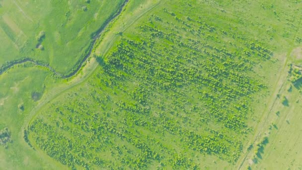 緑の草原 川の道路や農村風景の上の空中トップビューフライト — ストック動画