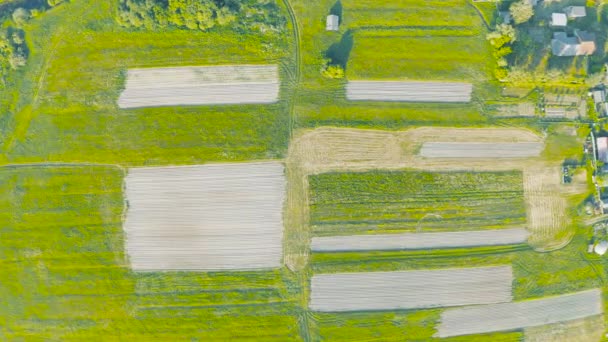Plowed Land Green Meadows Aerial View Height — Stock Video