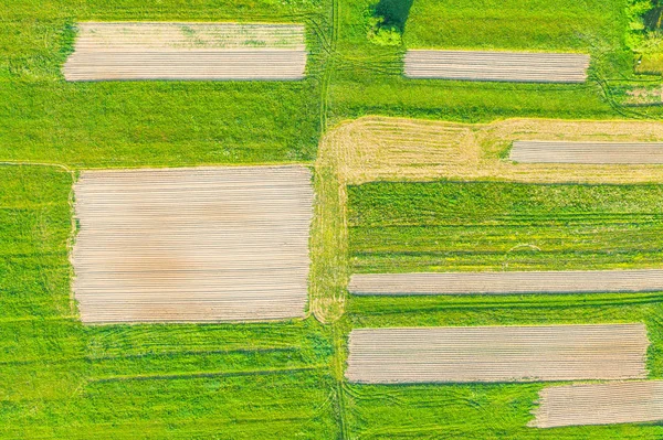 Plowing land furrows for planting agronomical plants among the countryside of grass and meadows trees, aerial view from above. — Stock Photo, Image