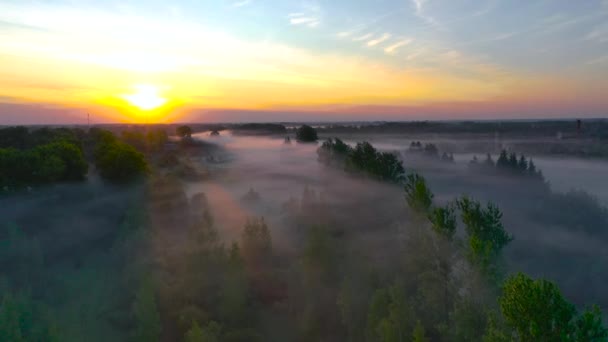 森と道路と農村部の木々の上の美しい霧 太陽の夜明けの朝早く — ストック動画