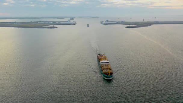 Φορτηγό Πλοίο Χύδην Μεταφορέα Ξύλα Ξυλείας Επί Του Σκάφους Επιπλέει — Αρχείο Βίντεο