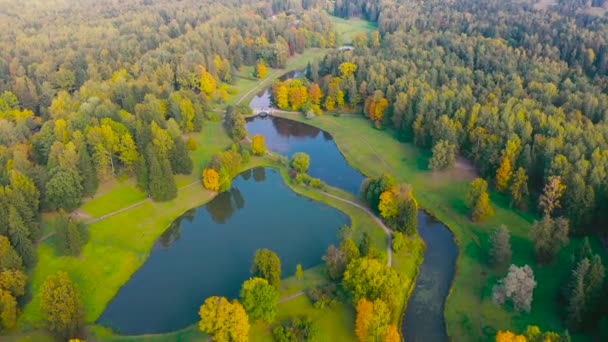 Légi Kilátás Repülés Felett Őszi Völgyben Park Rétek Kanyargós Folyó — Stock videók