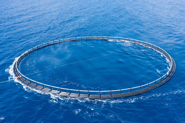 Aerial view close up, fish farm with floating cages in sea