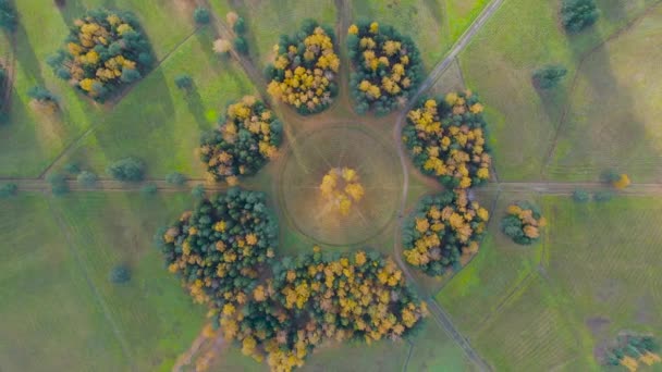 ハイキングコース 日光や森林の影を持つ秋の公園内の木のグループにカメラの回転の空中ビュー — ストック動画