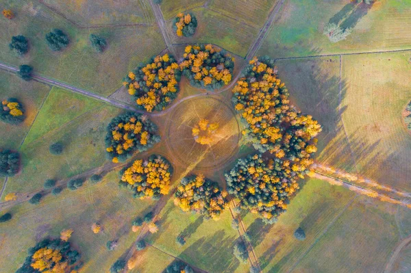 Aerial view of the a group trees planted in a circle in an autumn park with hiking trails, sunlight and forest shadows.