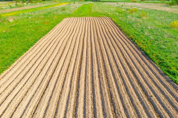 Plowing Land Furrows Planting Agronomical Plants Countryside Aerial View — Stock Photo, Image