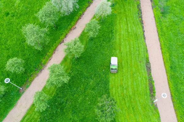 Grasmaaier Machine Rijdt Gras Maaien Hoog Gras Een Stadspark Tussen — Stockfoto
