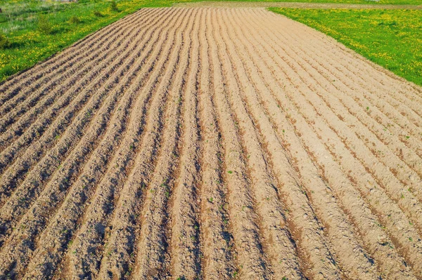 View Plowed Fields Spring Growing Crops Potatoes Corn Wheat — Stock Photo, Image