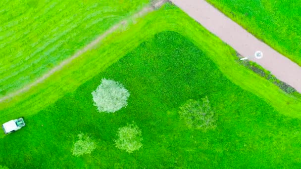 割草机骑在草地上 在城市公园的树木间割草 与人一起走在人行道上 空中俯瞰 — 图库视频影像