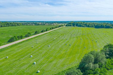 Kırsal alan manzarası, çimleri biçilmiş çim, yollar ve ormanlarla dolu bir tarlanın yüksekliği.