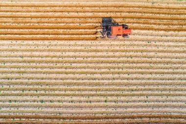 Tarım sebze fabrikalarının etrafındaki toprakları traktör ve tarımsal makineler kullanarak, hava manzaralı...