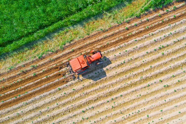 Spudding Soil Agricultural Vegetable Plants Using Tractor Agricultural Machinery Aerial — Stock Photo, Image