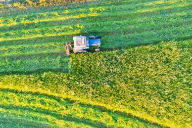 Havadan görünüşlü tarım sahnesi tarım traktörü tarlalarda çim biçme makinesiyle çim biçiyor.