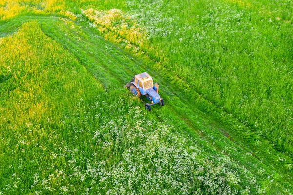 Aerial Top View Farm Scene Agricultural Tractor Mows Grass Mower — Stock Photo, Image