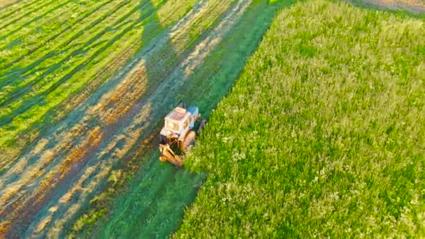 Vista Superior Aérea Cena Fazenda Trator Agrícola Corta Grama Com — Vídeo de Stock