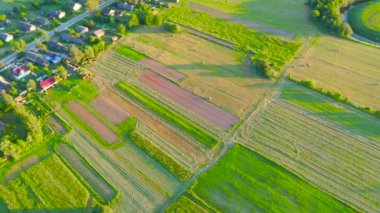 Yazın kırsal bir köy manzarasının kuş bakışı manzarası. Tarlaları biçilmiş çimler ve çiçek ve mahsul yerleşimlerinin manzarası.