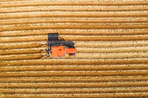 用拖拉机和农业机械在农业蔬菜植物周围喷洒土壤 空中俯瞰 — 图库照片
