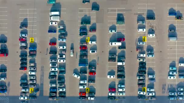 Aerial Top View Parking Lot Many Cars Supermarket Shoppers City — Stock Video