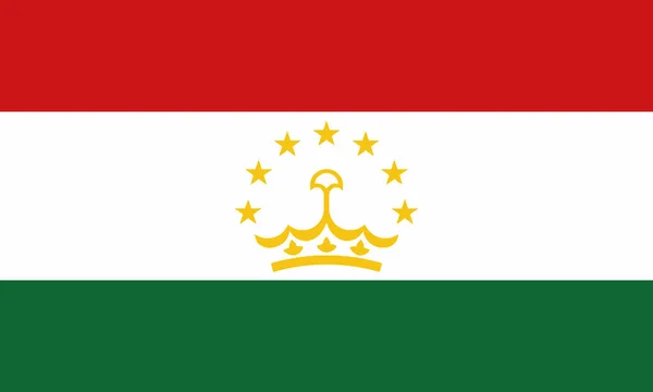 Ilustração Detalhada Bandeira Nacional Tajiquistão — Vetor de Stock