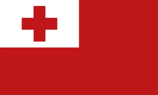 Detaillierte Abbildung Nationalflagge Tonga — Stockvektor