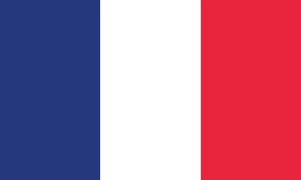 Detailed Illustration National Flag France — Stock Vector