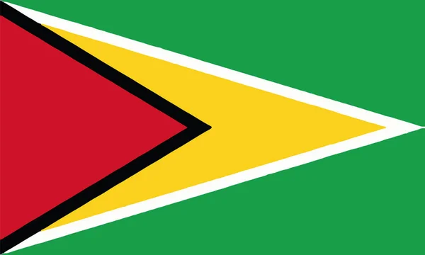 Ilustração Detalhada Bandeira Nacional Guiana — Vetor de Stock