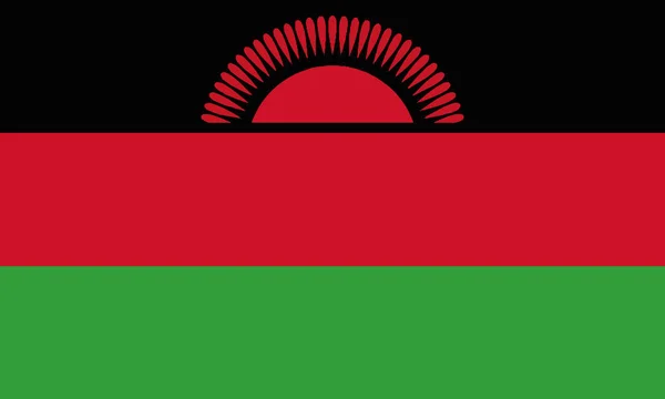 Gedetailleerde Illustratie Nationale Vlag Malawi — Stockvector