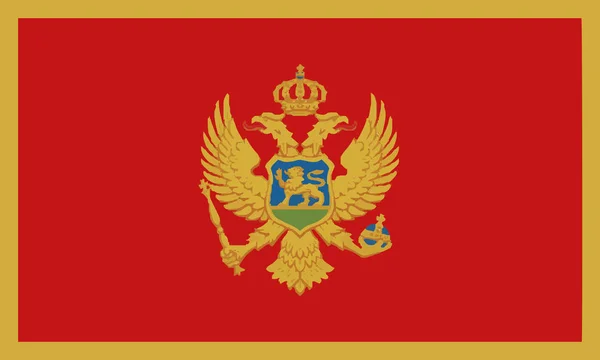 Detaillierte Abbildung Nationalflagge Montenegro — Stockvektor