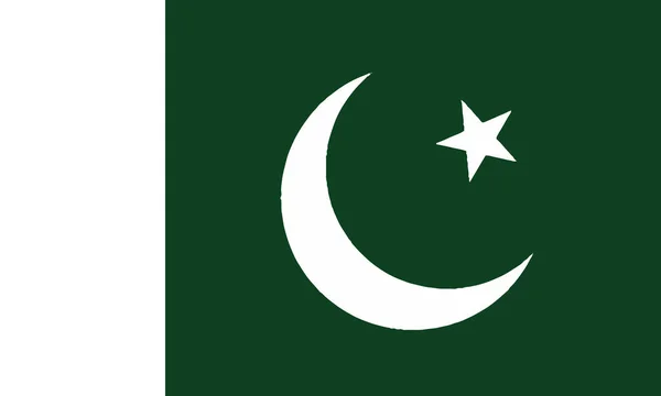 Detaylı Çizim Ulusal Bayrak Pakistan — Stok Vektör
