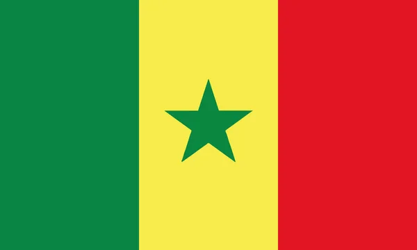 Детальною Ілюстрацією Національний Прапор Сенегалу — стоковий вектор